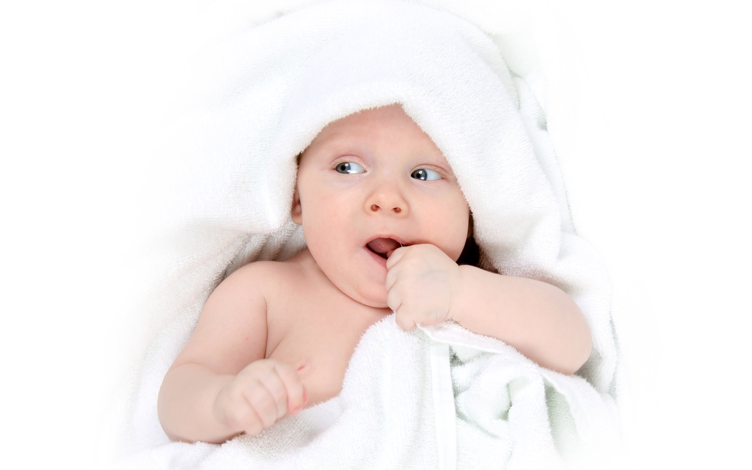 淮安捐卵机构中心试管婴儿什么时候做成功率高
